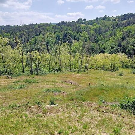 Ecrin De Verdure En Ardeche Verte Colombier-le-Vieux Экстерьер фото