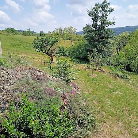 Ecrin De Verdure En Ardeche Verte Colombier-le-Vieux Экстерьер фото