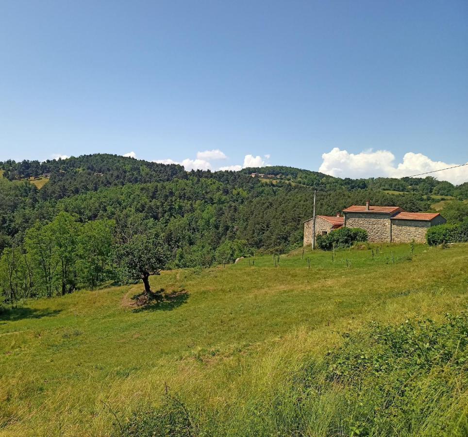 Ecrin De Verdure En Ardeche Verte Colombier-le-Vieux Экстерьер фото