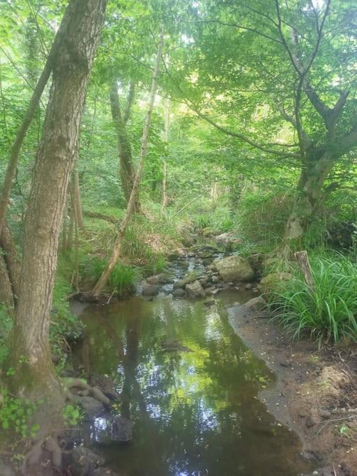 Ecrin De Verdure En Ardeche Verte Colombier-le-Vieux Экстерьер фото