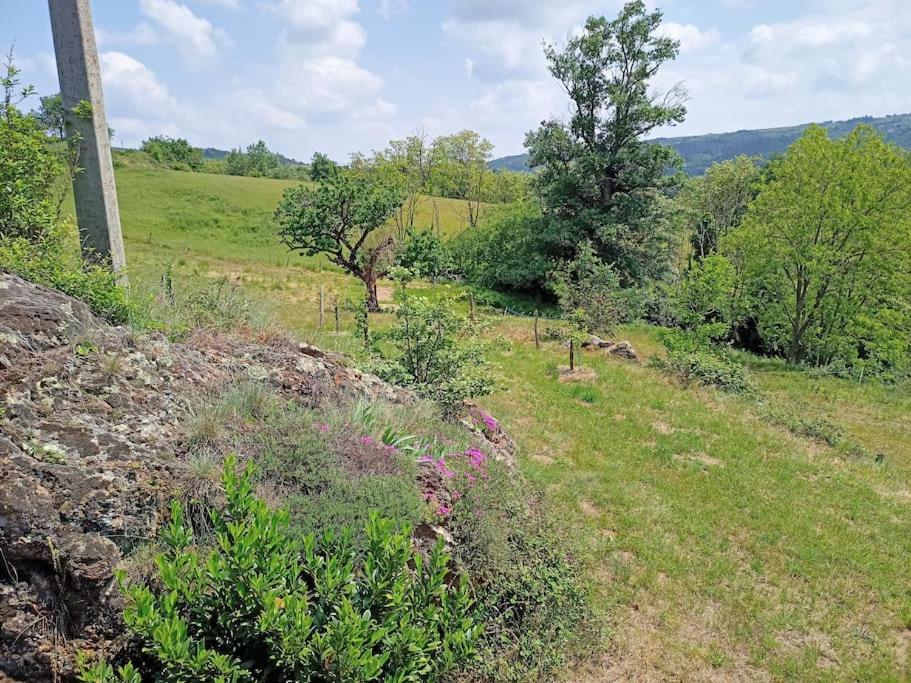 Ecrin De Verdure En Ardeche Verte Colombier-le-Vieux Экстерьер фото
